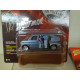 FORD VAN 1976 THE WOLFMAN MONSTERS 1:64 JOHNNY LIGHTNING