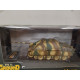 JAGDPANTHER 1945 ARMY GERMANY WW 2 1:72 GROUND ARMOR